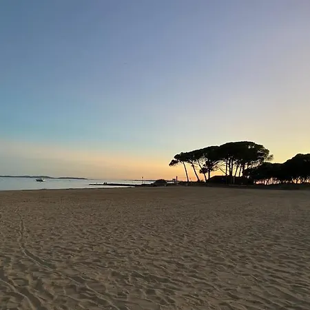 Cocon Sur La ! * La Londe-les-Maures